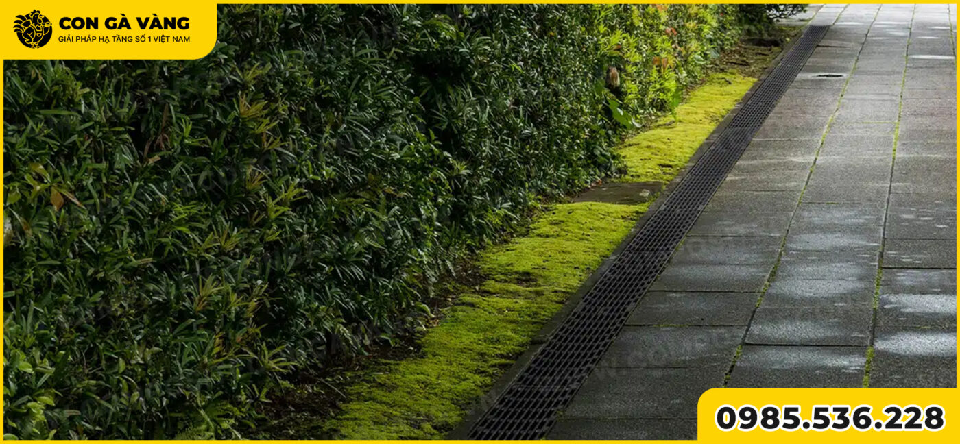 song chắn rác bằng composite