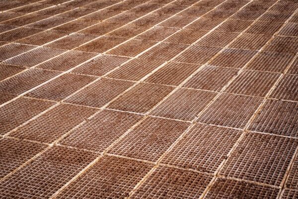 Tấm sàn FRP grating composite: Giải pháp sàn chịu tải nặng cho nhà máy công nghiệp và khu chế xuất - Composite Con Gà Vàng