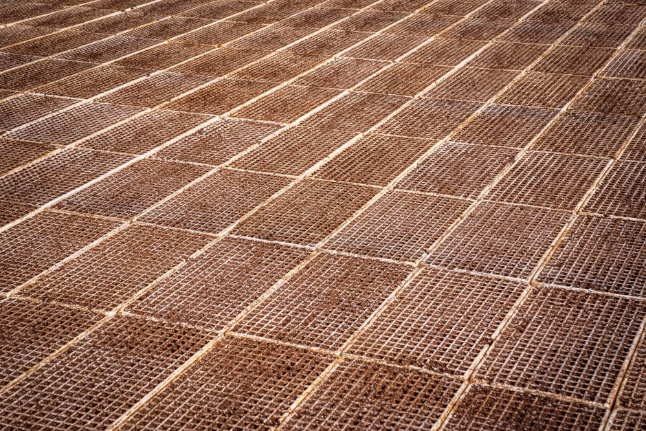 So sánh tấm sàn grating composite và sàn kim loại: Lựa chọn nào tối ưu cho từng ngành công nghiệp? - Composite Con Gà Vàng